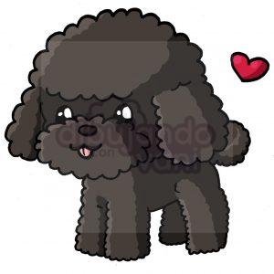 french poodle kawaii