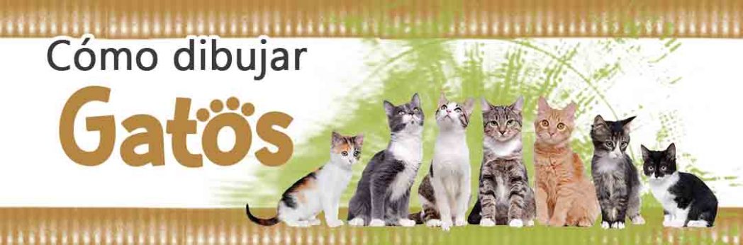 Como dibujar Gatitos kawaii