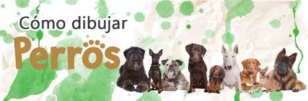 banner perros blog