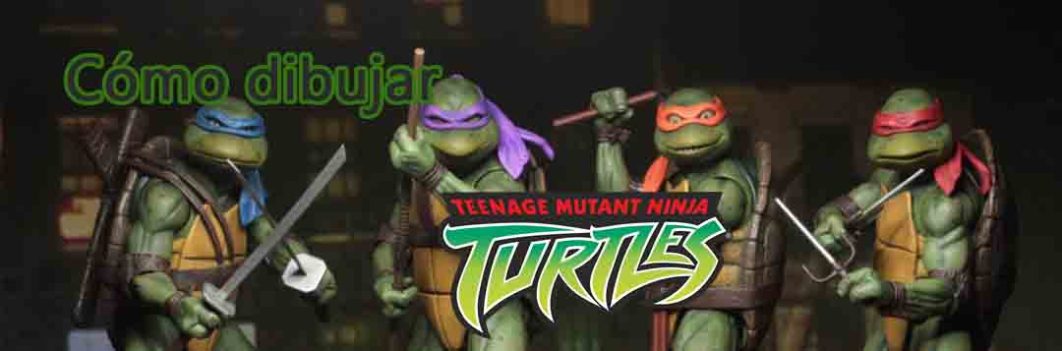 banner tortugas blog
